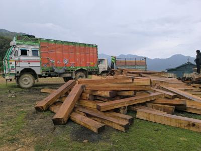 Timber logged from the community reserved forest ready to be sold for church construction materials. 