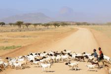 Lake Turkana