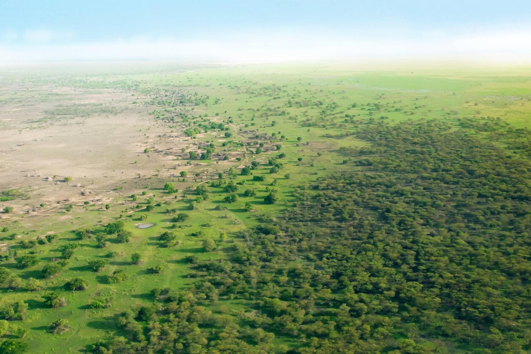 The Great Green Wall in Africa