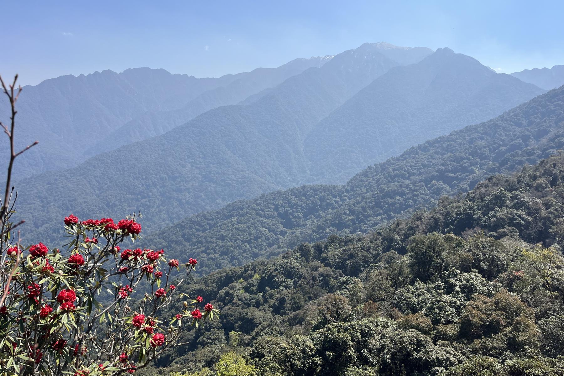 View of Mt Saramati