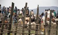 Photograph: Central Ethiopia, Neil Webster